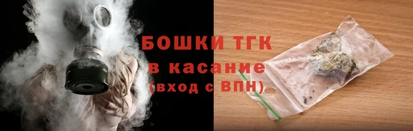 тгк Алзамай