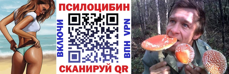 Галлюциногенные грибы Cubensis  купить закладку  Егорьевск 